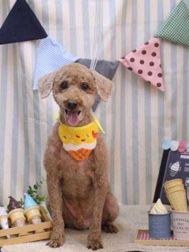 20250515マイロくん